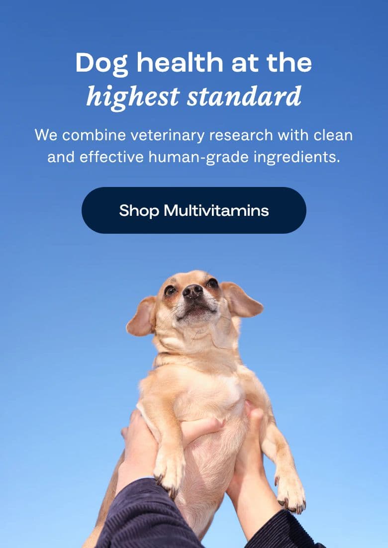Hero section from Dog Is Human, a pet Shopify store — mobile screenshot