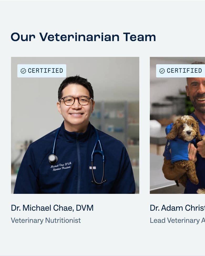 Trust Badges & Guarantees section from Dog Is Human, a pet Shopify store — mobile screenshot