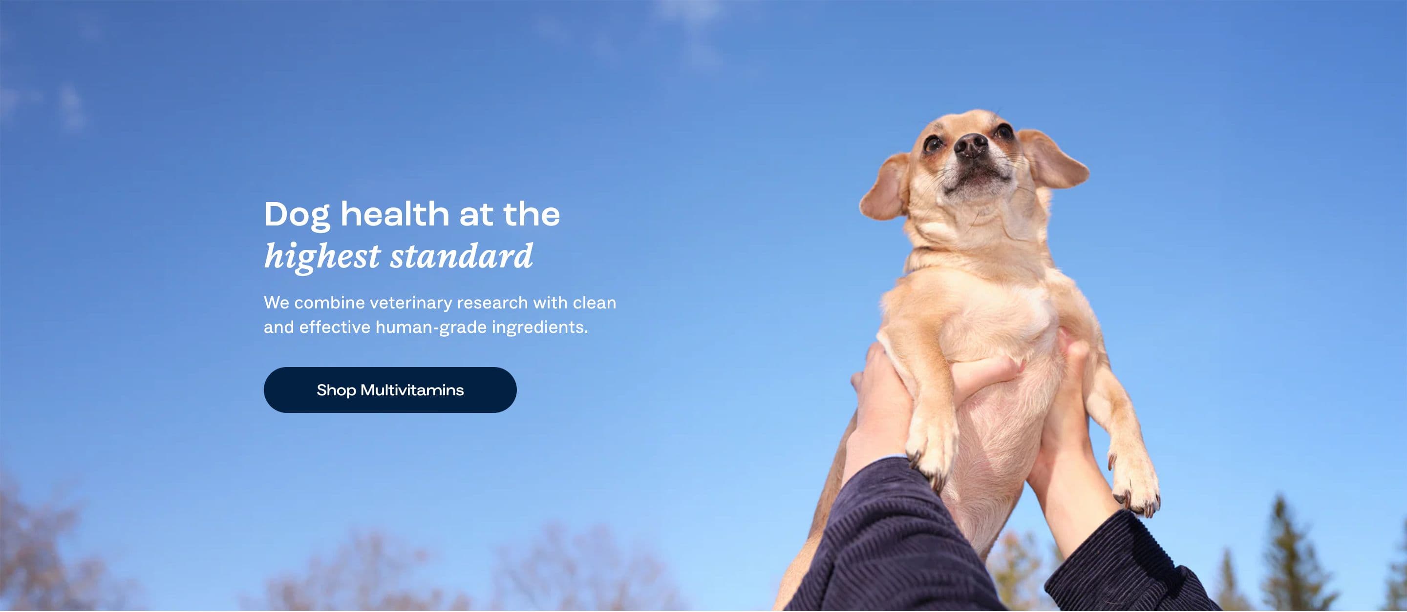 Hero section from Dog Is Human, a pet Shopify store — desktop screenshot