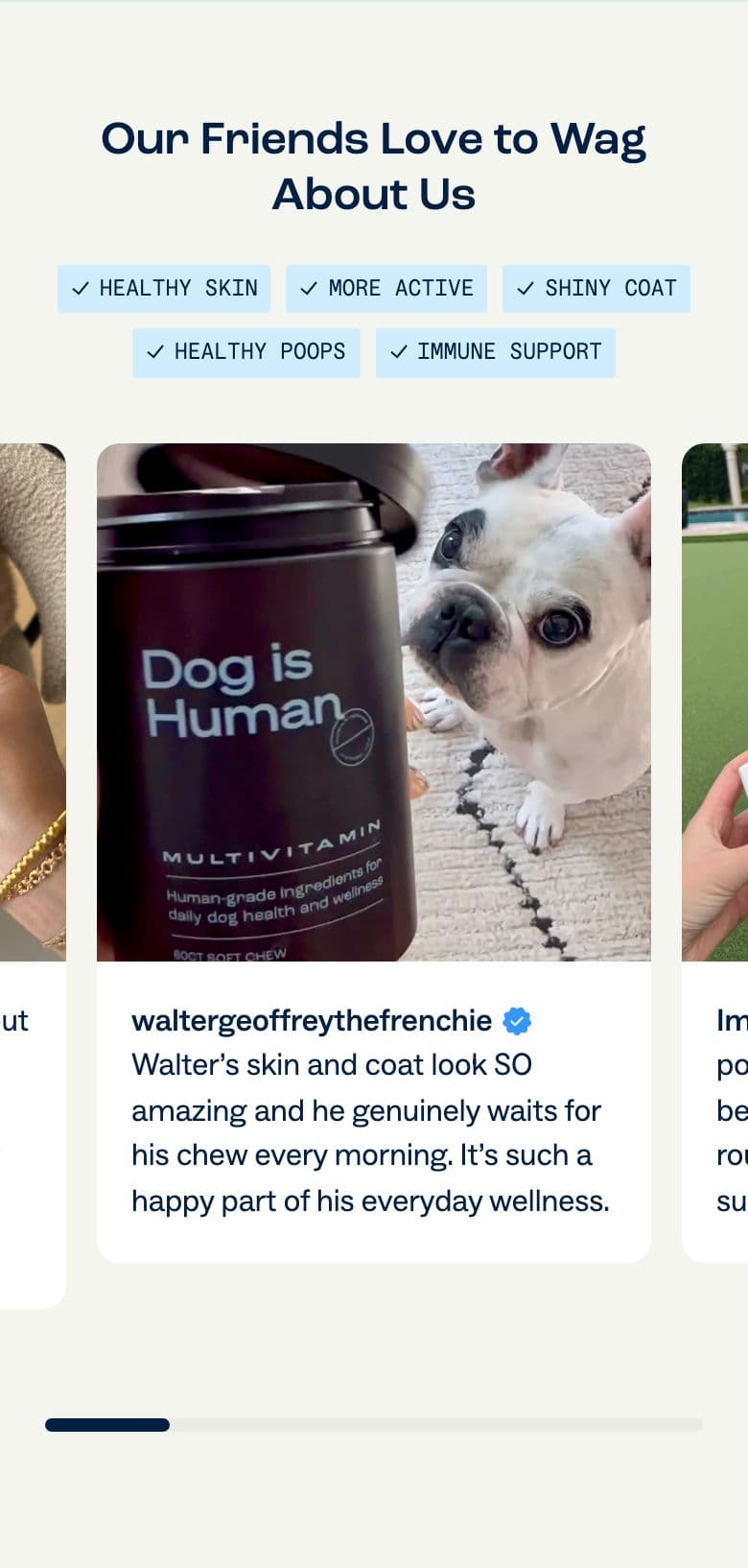Reviews & Ratings section from Dog Is Human, a pet Shopify store — mobile screenshot