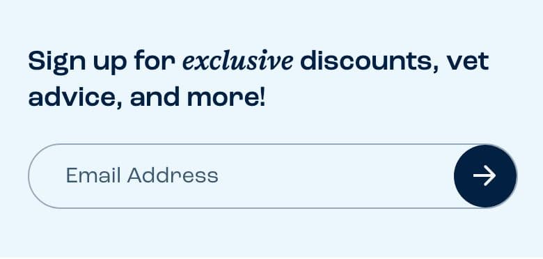 Newsletter & Email Capture section from Dog Is Human, a pet Shopify store — mobile screenshot