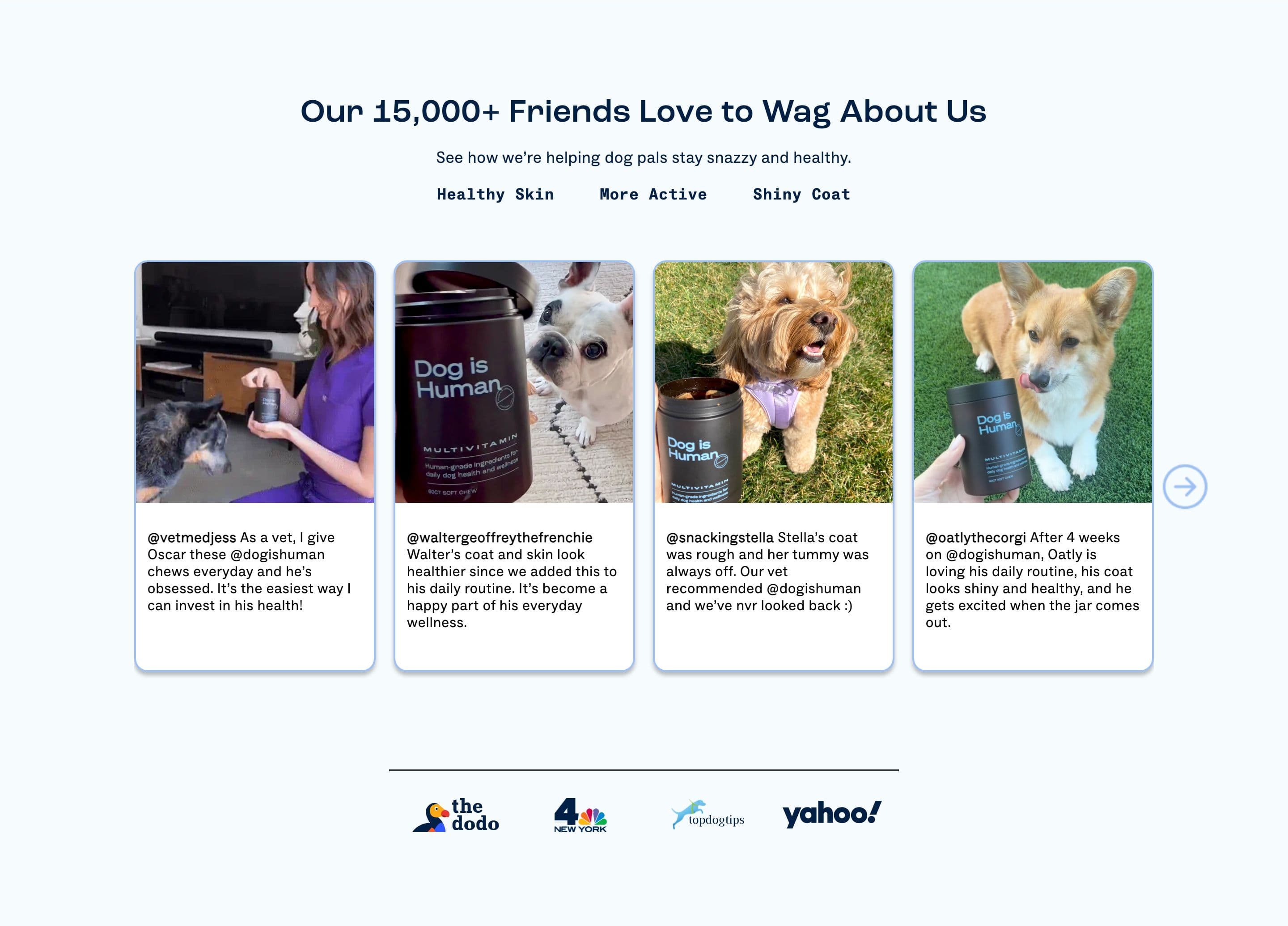 UGC & Social Proof section from Dog Is Human, a pet Shopify store — desktop screenshot