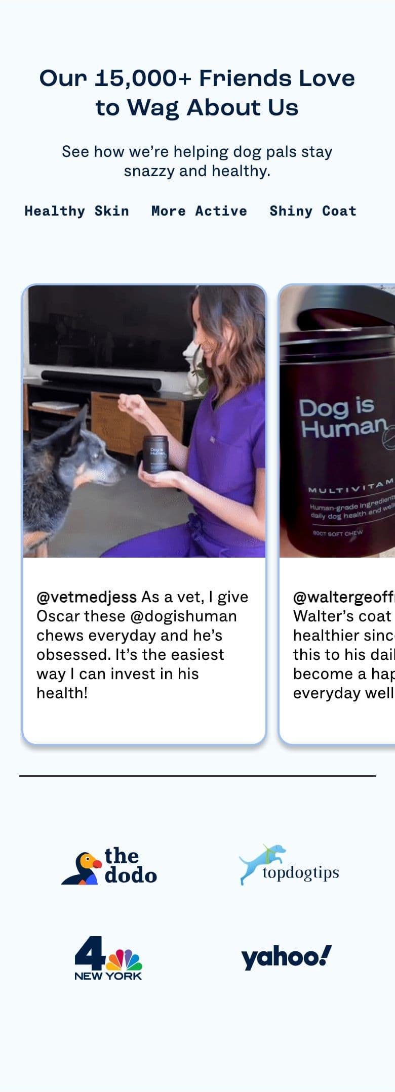 UGC & Social Proof section from Dog Is Human, a pet Shopify store — mobile screenshot